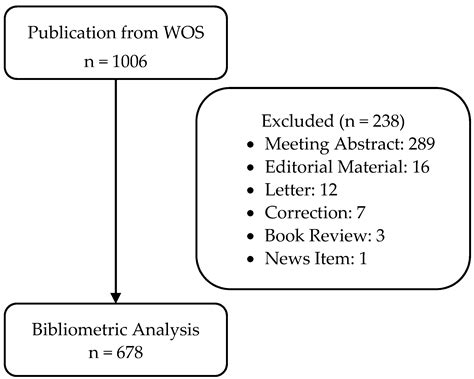 A Bibliometric Analysis of Stroke Caregiver Research from 1989 to 2022