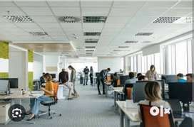 Jobs in Delhi, Job Vacancies & Openings in Delhi | OLX