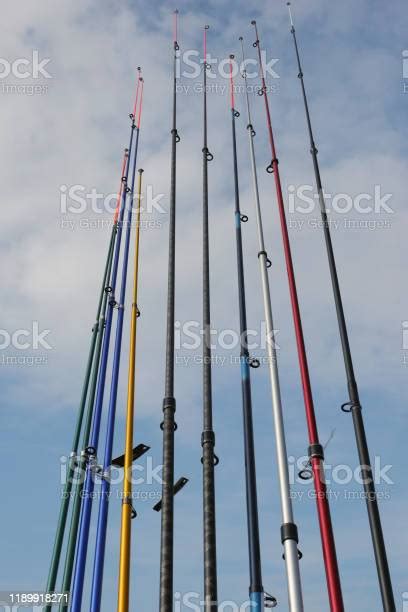 Image result for Fishing Rod Types