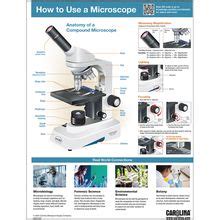Image result for How Do You Use Microscope
