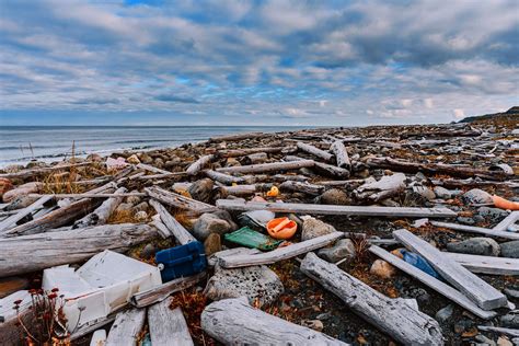 Where does plastic debris in the Arctic come from? - Earth.com
