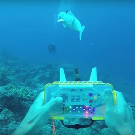 Remote Control Floating Fish 的图像结果