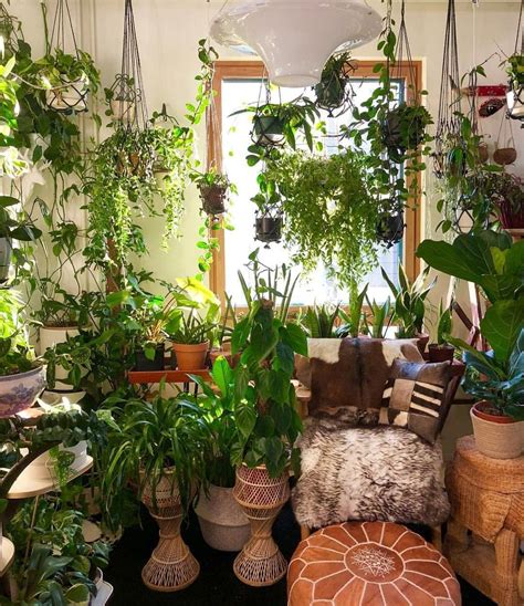 Indoor Plant Room Design
