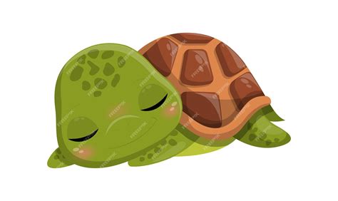 Cute Animated Turtles To Draw