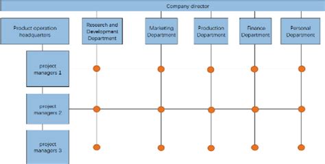 Matrix Organizational Structure Visual Representation 的图像结果