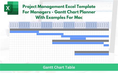 Image result for Project Management Excel Tool