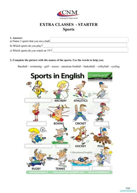 Sports Worksheet 的图像结果