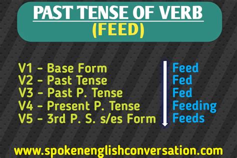 FEED Past Tense, Present, Future, Participle Form - V1 V2 V3 V4 V5