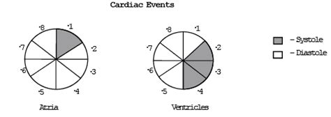 Human Circulatory System - Biology Class 11 - NEET PDF Download