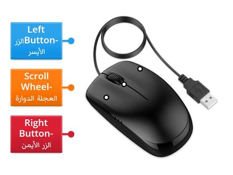 Computer Mouse Parts Internal 的图像结果