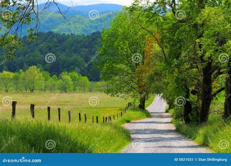 Country Road Scean 的图像结果