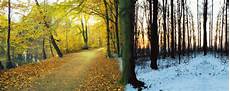 ausmalbilder herbst und winter aschblondines haar haarpflege in herbst winter ausmalbilder herbst und winter aschblondines haar haarpflege in herbst winter