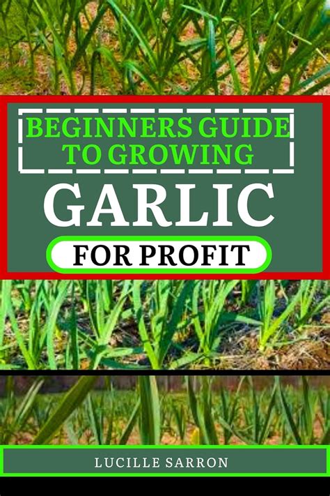 BEGINNERS GUIDE TO GARLIC FOR PROFIT: Elevate Your Garlic Growing Game ...
