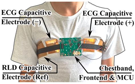 Design and Assessment of Flexible Capacitive Electrodes for Reusable ...