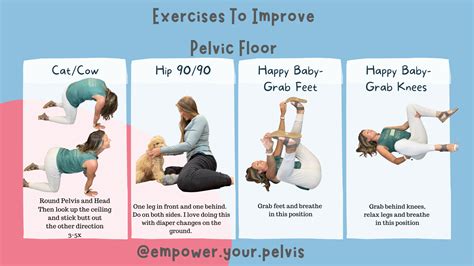 Top 4 Daily Pelvic Floor Exercises to Relieve Pain and Improve Strength ...