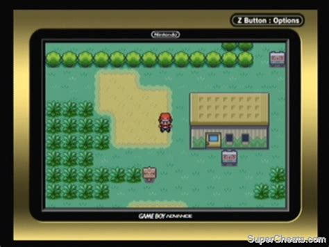 The Safari Zone - Pokemon LeafGreen Guide and Walkthrough