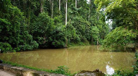 KIRULA HOTEL & KABANA (Nittambuwa) - B&B Reviews & Photos - Tripadvisor
