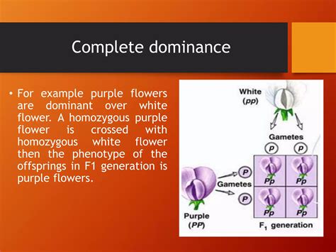 Image result for Complex Inheritance Pattern For