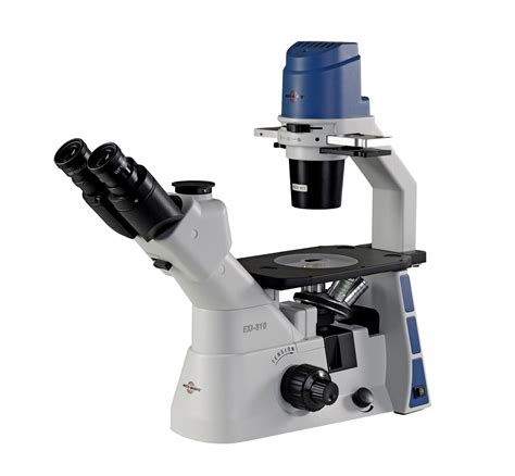 Image result for Inverted Light Microscope