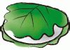 Image result for Free Code Camp HTML Lesson 56