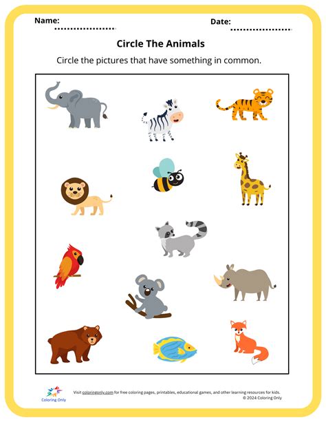 Materials: Soft Or Hard Free Printable Worksheet