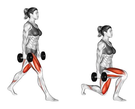 Dumbbell Split Squat: Muscles Worked and More - Inspire US