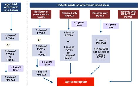 Bacterial Vaccinations in Patients with Chronic Obstructive Pulmonary ...