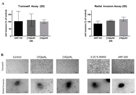 Pyridine-Containing Macrocycles Display MMP-2/9 Inhibitory Activity and ...