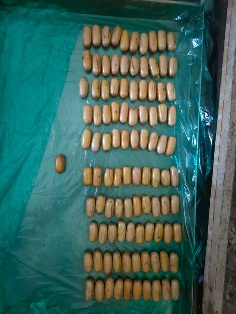 Press Release: Press Information Bureau