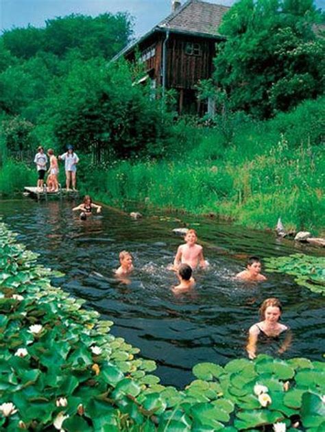 20+ Modern Natural Swimming Pools That Will Delight You - TRENDHMDCR ...