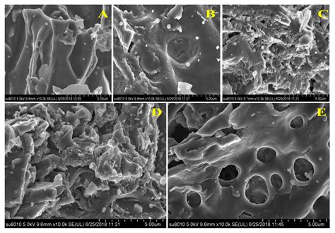 Characterization of Acid-Aged Biochar and Its Ammonium Adsorption in an ...