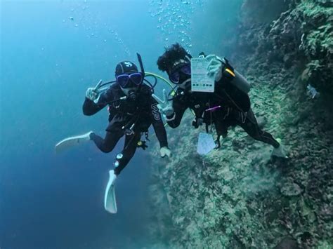 EUNICE SEA VENTURES (2026) All You Need to Know BEFORE You Go (with ...