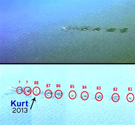 打水漂也能创造世界纪录，最远水漂122米！_水面