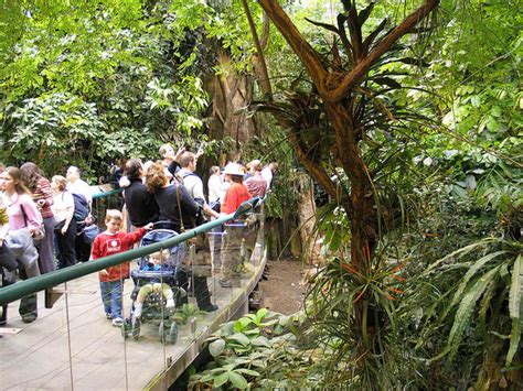 The Biodome - Montreal: Get the Detail of The Biodome on TimesTravel