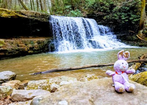 Tales From The Wood Booger: Laurel Run Park From The Rabbit Hole
