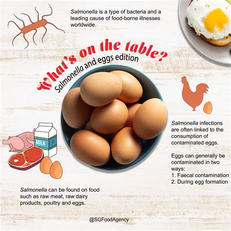 Does Freezing Kill Salmonella In Eggs at Rita Ellis blog