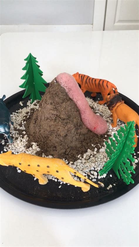 Image result for Exploding Volcano Science Project