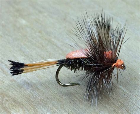 Image result for Foam Humpy Fly Pattern