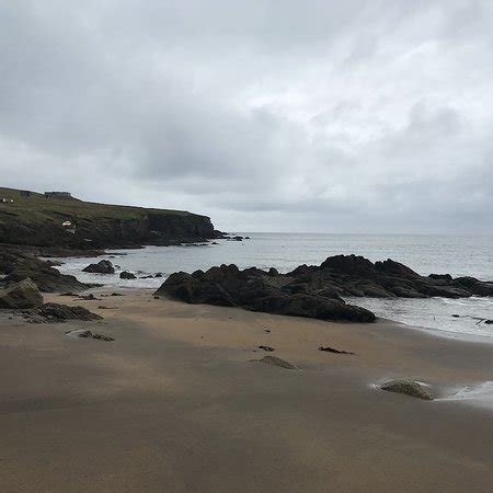 KITTYWAKE TOURS (Lerwick) - 2022 What to Know Before You Go