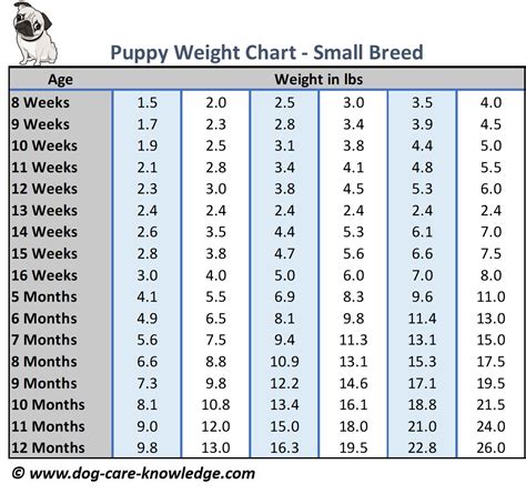 Average Weight For Pitbull Puppies at Amy Palmer blog