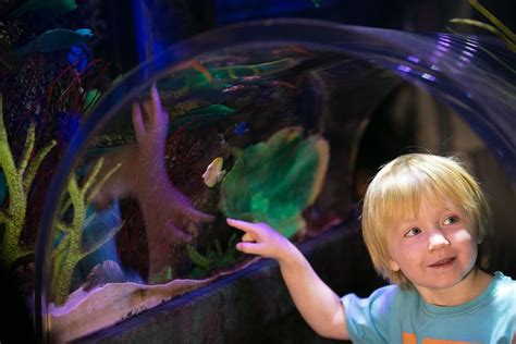 SEA LIFE AQUARIUM NEW JERSEY (2026) All You Need to Know BEFORE You Go ...