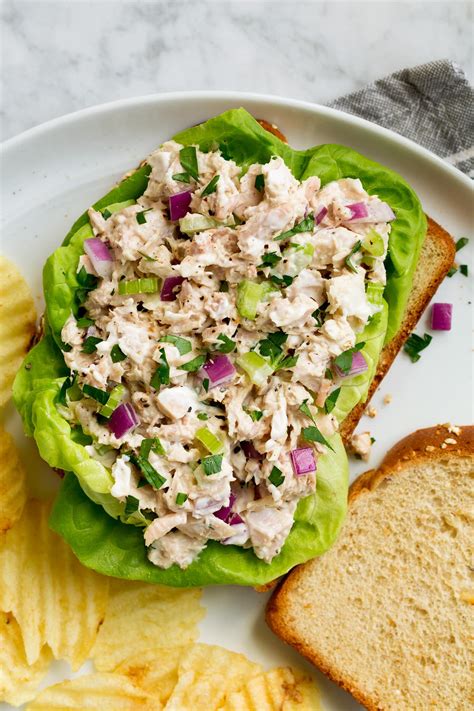 Best 15 Tuna Fish Salad Recipes – How to Make Perfect Recipes