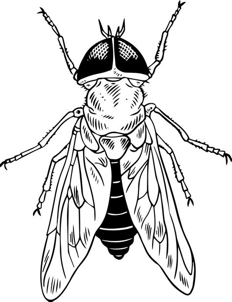 Image result for Great Math