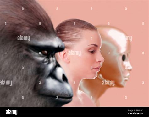 Future Human Evolution 的图像结果