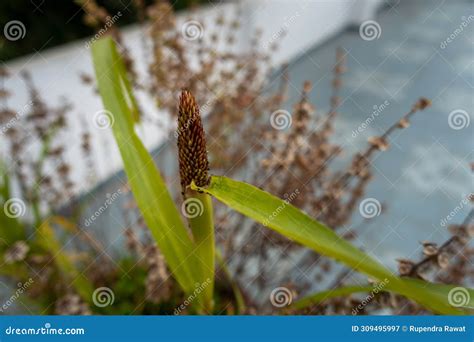 Image result for Is Computer a Multimedia Tools Examples