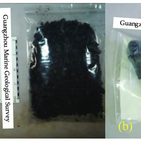 Bad Particles 的图像结果