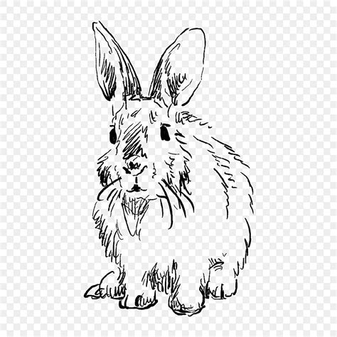 Black And White Rabbit Clipart