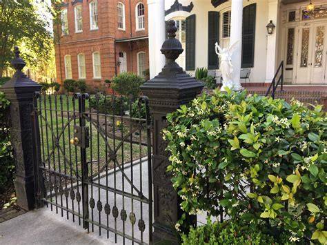 The Uptown Acorn: The Smell of Jasmine - what is the smell of jasmine
