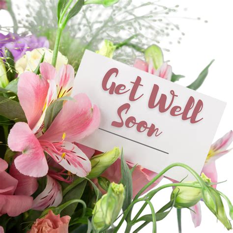 Get Well Soon Flowers Hd Images at Adolph Grier blog