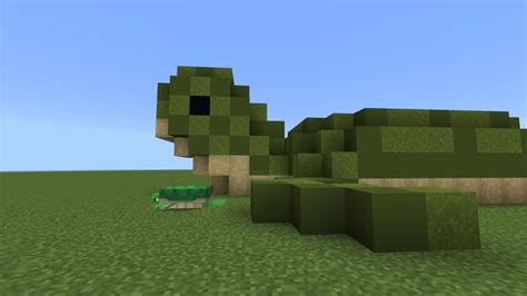 Image result for MinecraftTurtle Build